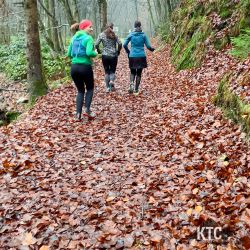 2022-11-20 Frauenlauftreff Schwanberg - 7DF633B4-B1FA-42D2-A7F5-942B6F0B5EE3